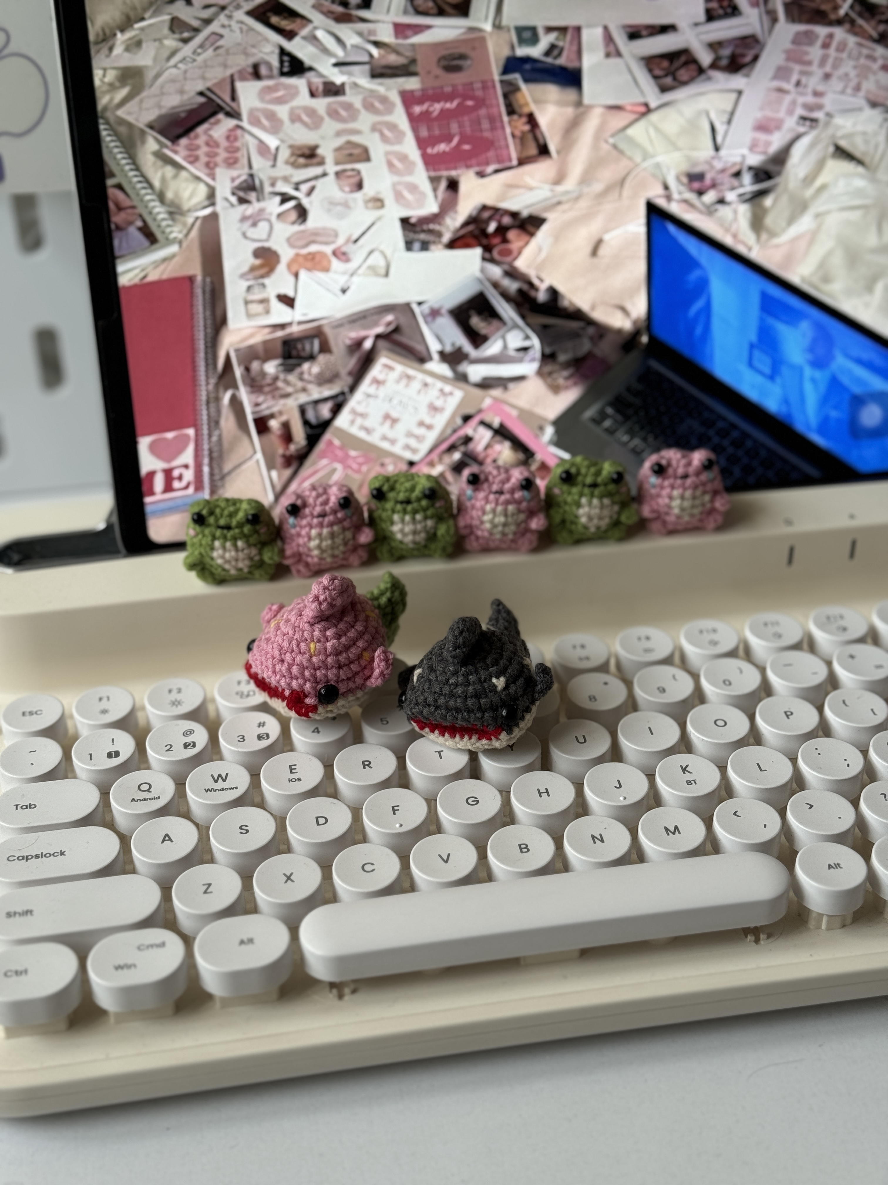 کوسه گاز گیر🦈