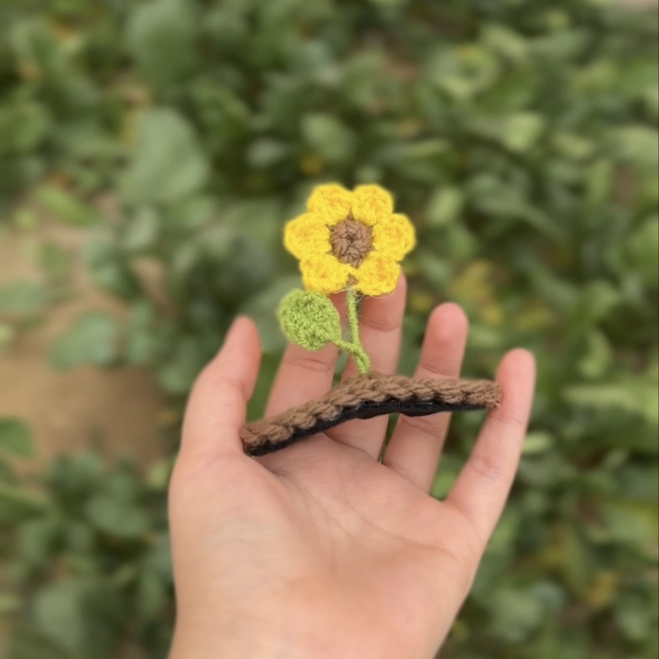 گیره جوونه و افتاب گردون🌻